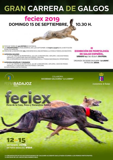 CARTEL-Galgos.DEFINITIVO CARTEL-Galgos.DEFINITIVO