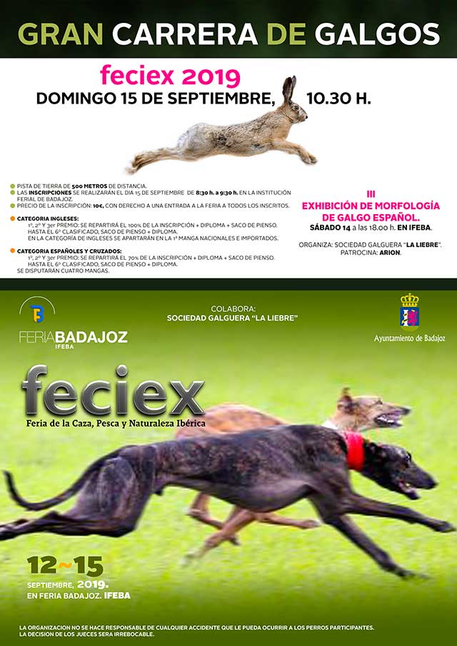 CARTEL-Galgos.DEFINITIVO CARTEL-Galgos.DEFINITIVO
